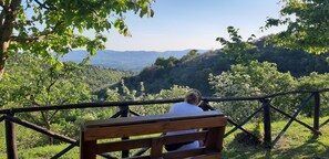 Property grounds - Il Trovatore, apt. with two rooms in Casa Lama Residence with pool (Castelfranco di Sopra)