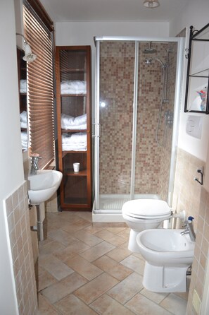 Bathtub, hair dryer, bidet, towels