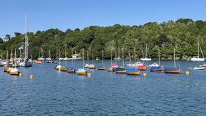Un puerto deportivo con varias embarcaciones amarradas, rodeado de un bosque frondoso.