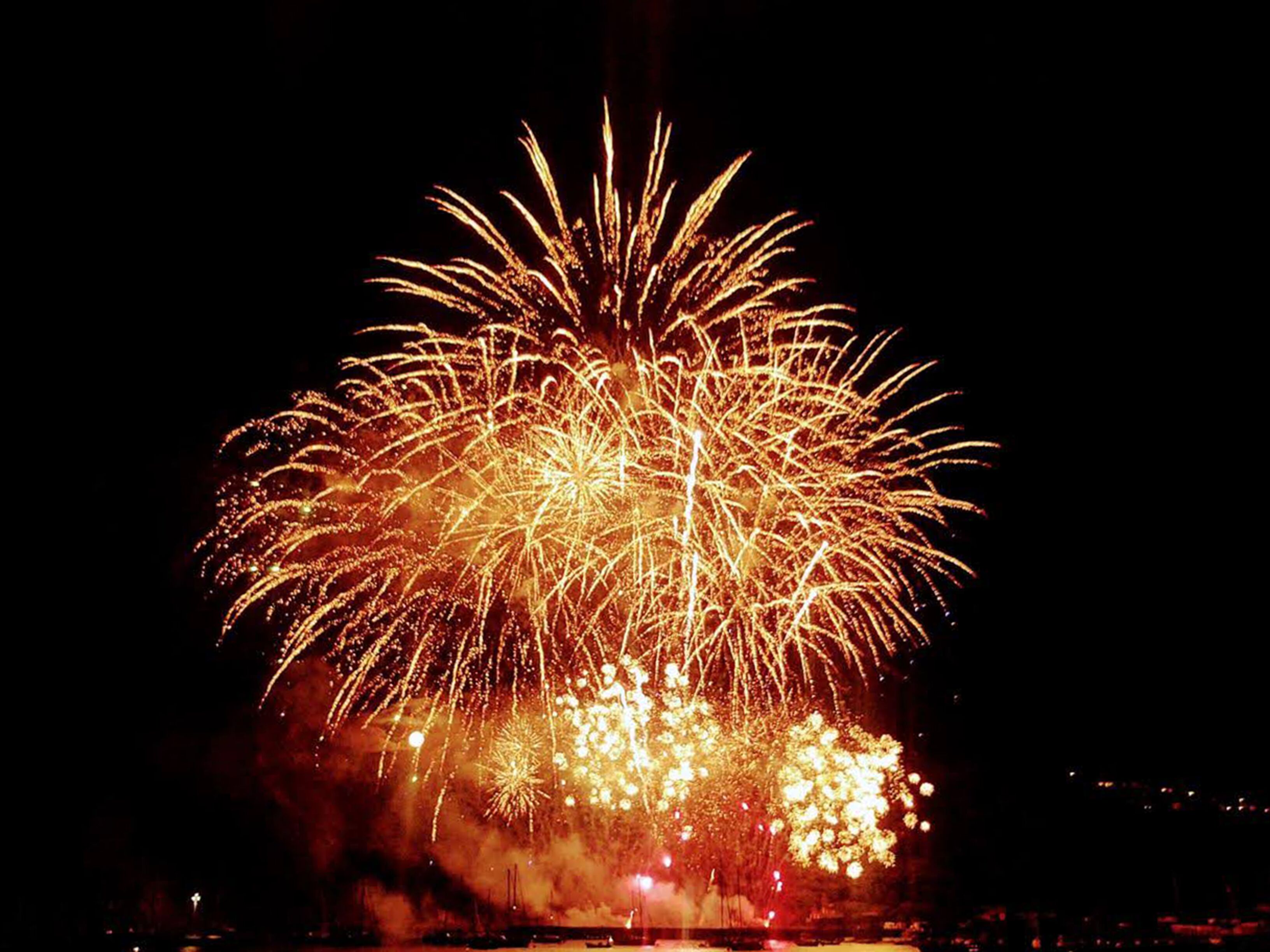 A nighttime view of fireworks exploding in the sky.