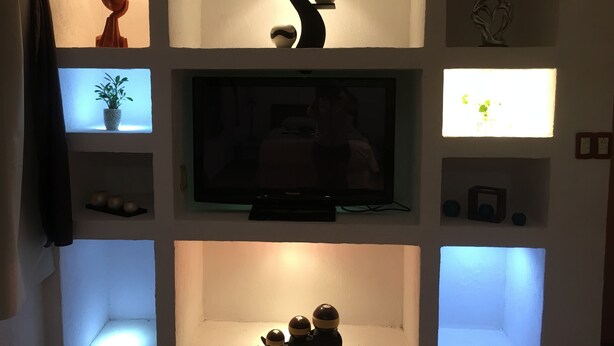 Una sala de estar con televisión de pantalla plana, objetos decorativos y una planta en maceta.