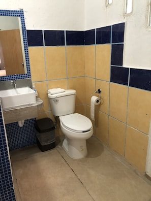 Serviettes fournies, savon, papier de toilette