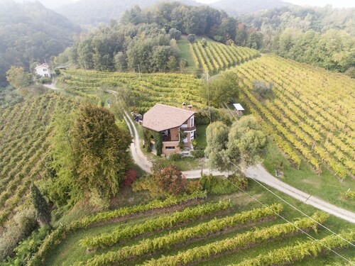 A house in the vineyard