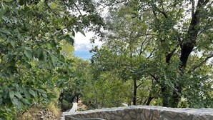 A stone pathway with metal railings, surrounded by trees and leading to a view of a body of water. - Studio with terrace for 2 people (Baška)