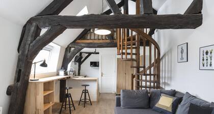 LES LICES - Bel appartement de charme en plein de centre-ville