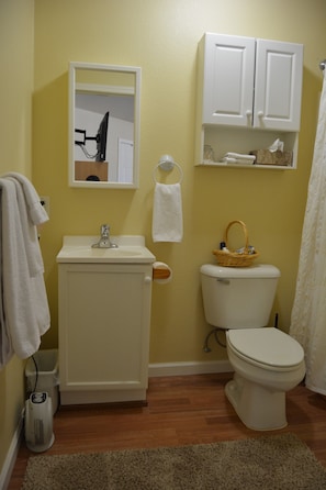 Combined shower/bathtub, hair dryer, towels, soap