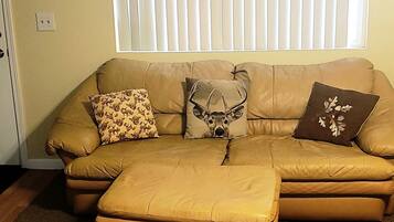 Smart TV, DVD player