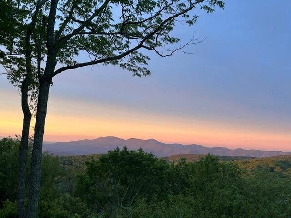 Paisagem natural com uma árvore em primeiro plano e uma cadeia de colinas ao fundo.