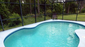 A swimming pool with a wooden chair in the corner, surrounded by a metal fence and greenery. - Tree Top Retreat (Davenport)