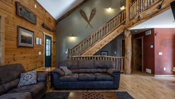 TV connectée, cheminée, lecteur de DVD, livres