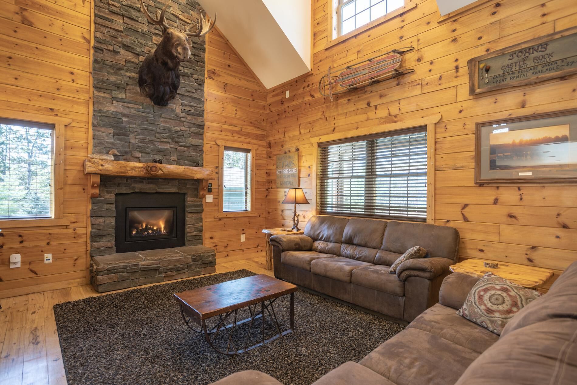 Smart TV, fireplace, DVD player, books