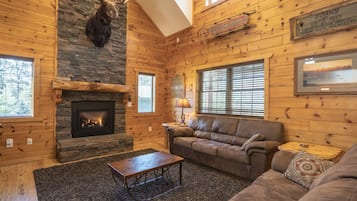 Smart TV, fireplace, DVD player, books