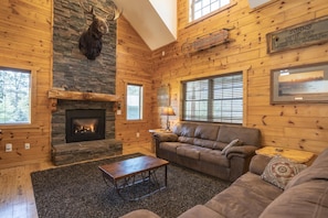 Smart TV, fireplace, DVD player, books