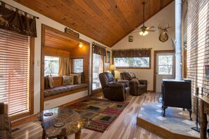 TV connectée, cheminée, lecteur de DVD, livres