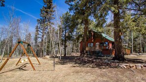 A cabin surrounded by trees, with a swing set nearby. - Romantic Forest Hideaway, Hot Tub, WiFi, near Attractions & Breweries!  (Divide)