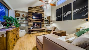 TV, fireplace, video games, books