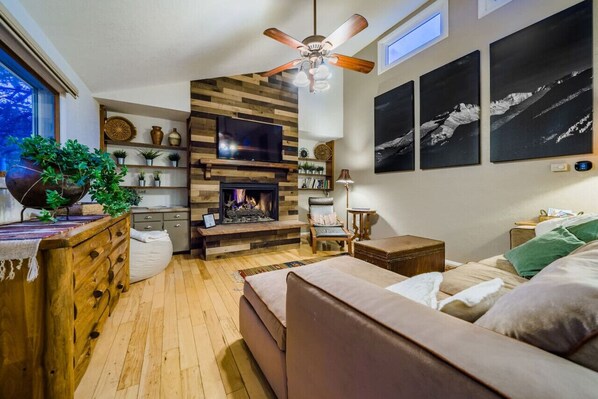 TV, fireplace, video games, books