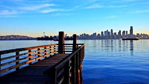 A waterfront pier with a city skyline in the background.