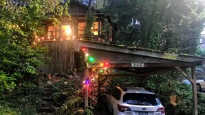 A white SUV parked under a wooden structure with colorful lights, surrounded by dense foliage.