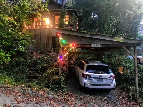 Secluded Tree-Top Cabin on West Seattle Waterfront