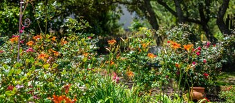 Cozy Appartment: Hottub, Kayak, SUPs, and Bikes. Dogs or cats ✅ 