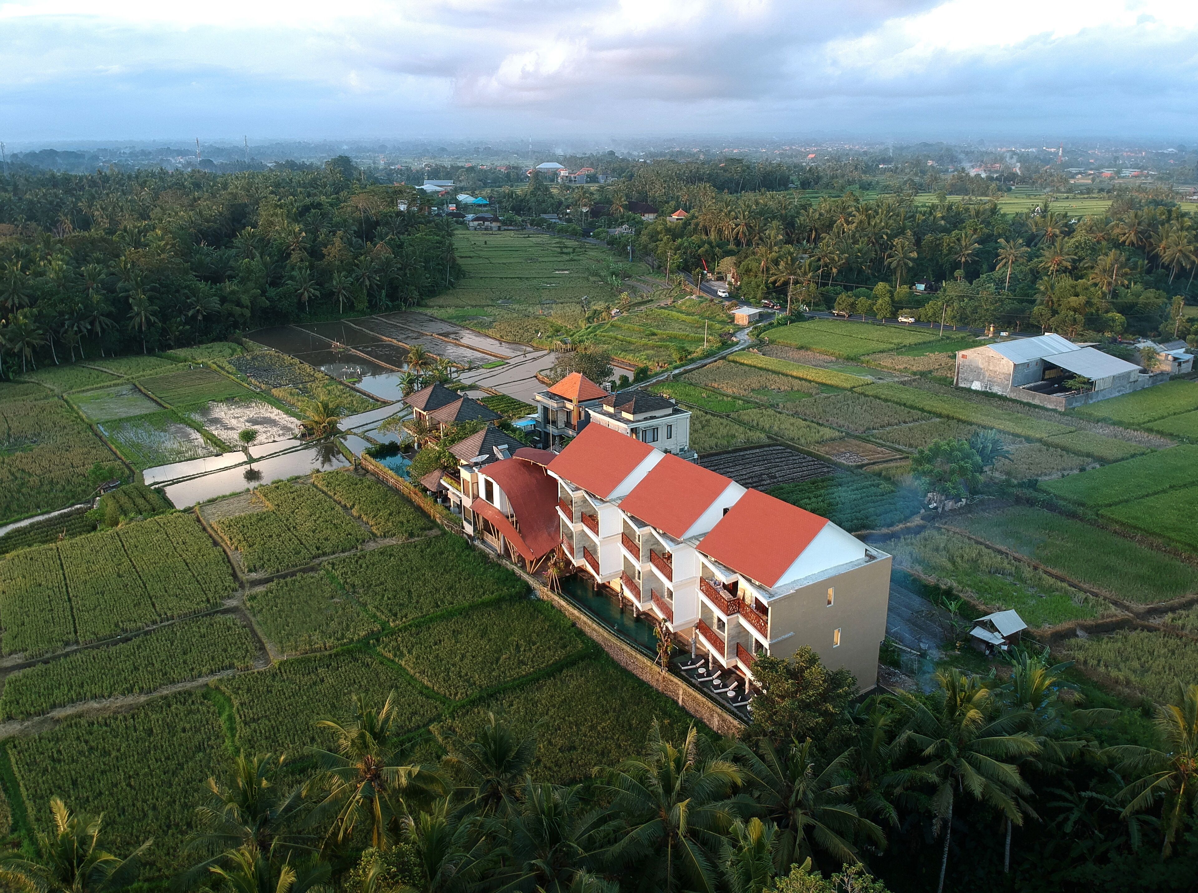 aerial view