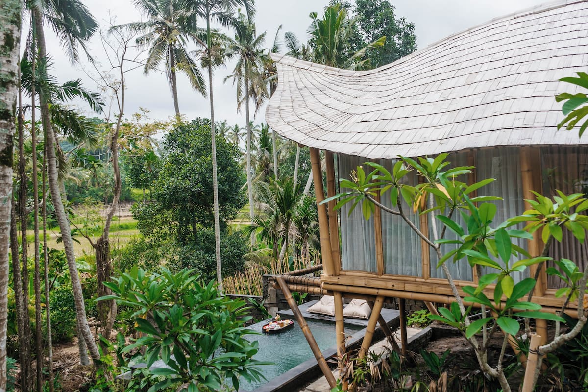 Estructura de bambú con techo de paja, rodeada de abundante vegetación y una pequeña piscina.