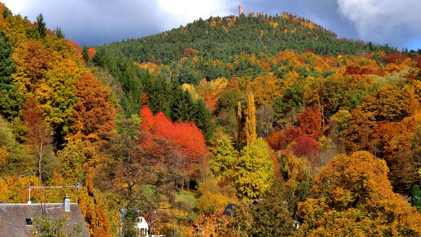 Eine Berglandschaft mit Herbstlaub und einem Turm auf dem Hügel.