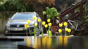 Ein Volkswagen-Auto, geparkt neben einem Holzzaun, mit einem Fahrrad und einem Blumentopf mit gelben Blüten.