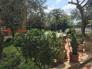 Apartment, 2 Bedrooms, Partial Sea View (3 pax) | Terrace/patio - Il Poggio (Auditore)