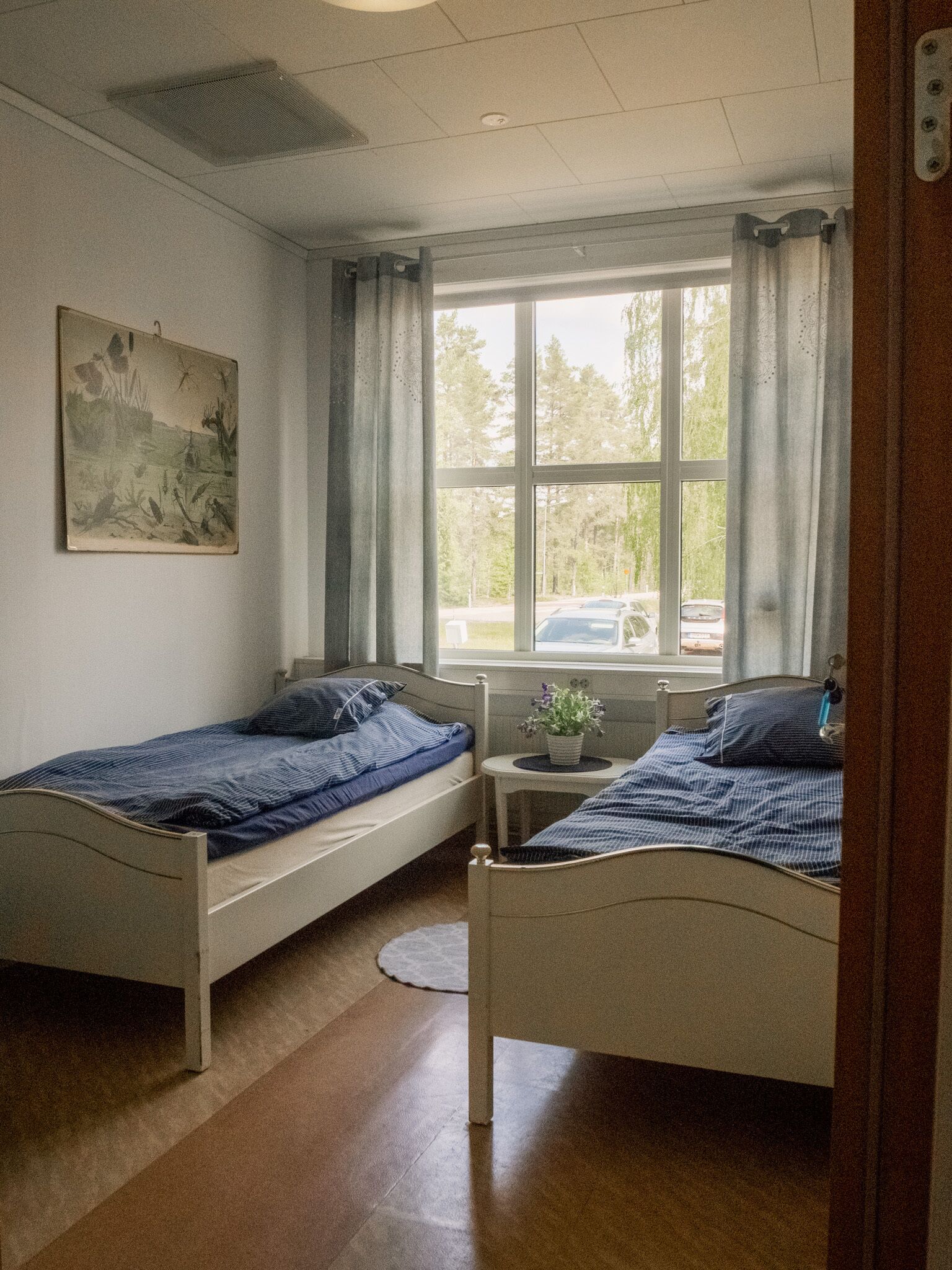 Una habitación con dos camas individuales, una ventana con cortinas, una mesita con una planta y un cuadro en la pared.