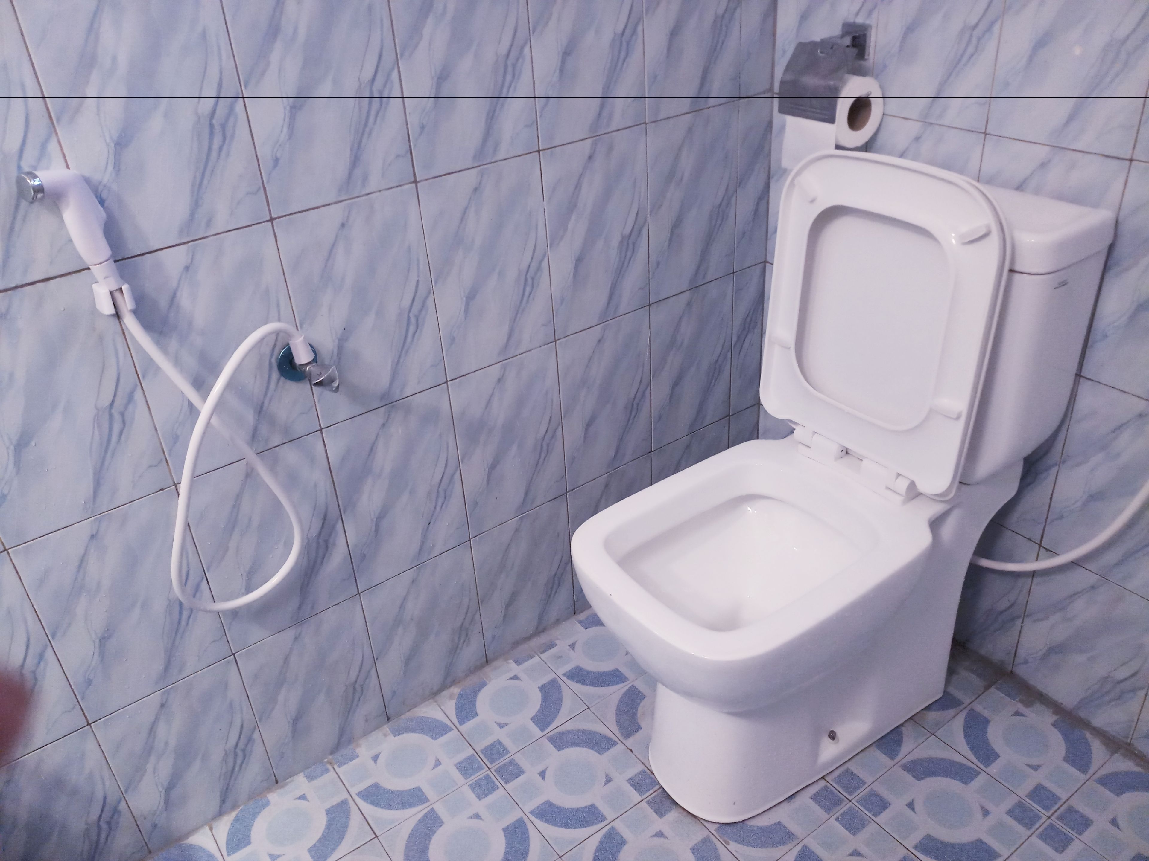 A bathroom with a toilet, a bidet, and a shower hose.