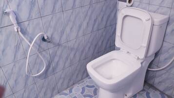 A bathroom with a toilet, a bidet, and a shower hose.