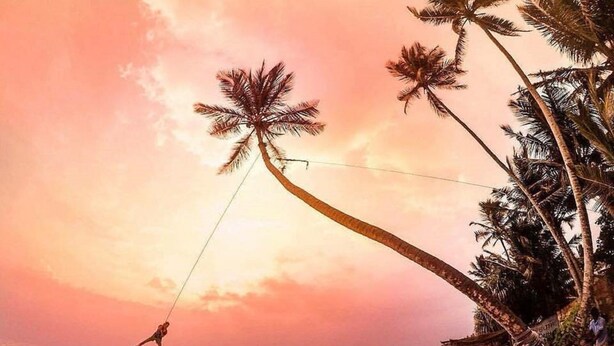 A beach scene with palm trees, a person swinging on a rope, and a beach hut. - Sana Guest (Weligama)