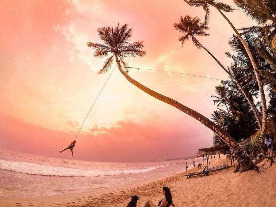 Vista da propriedade