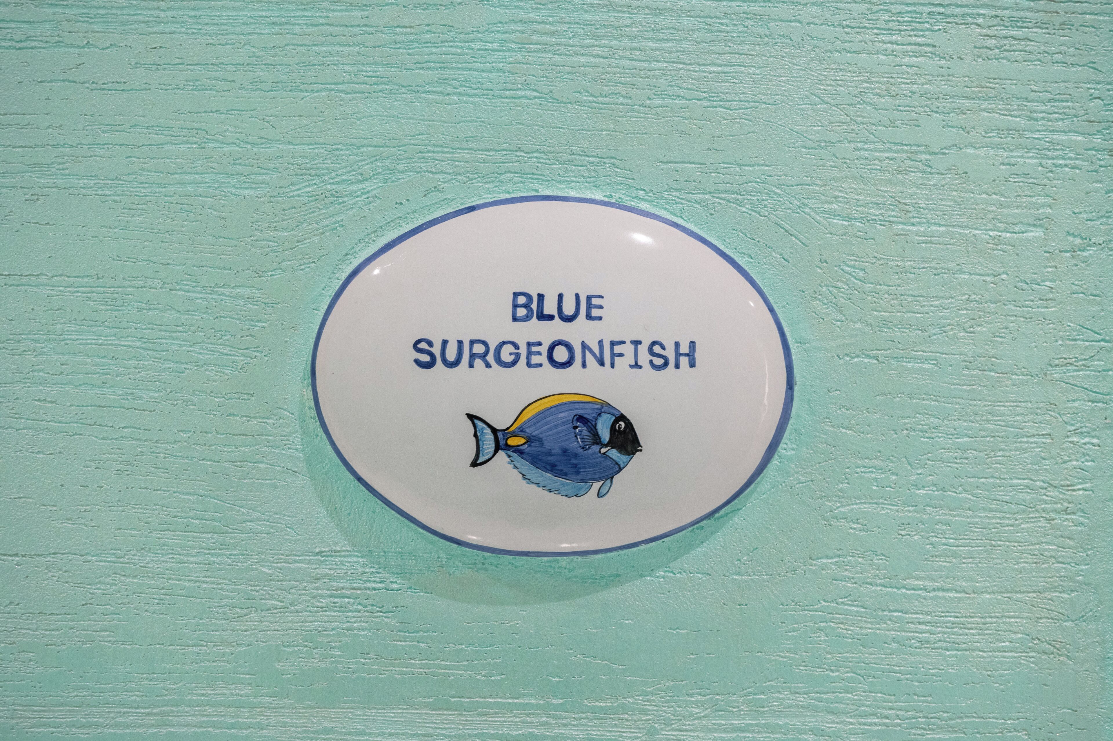 Foto - The Reef Sorrento