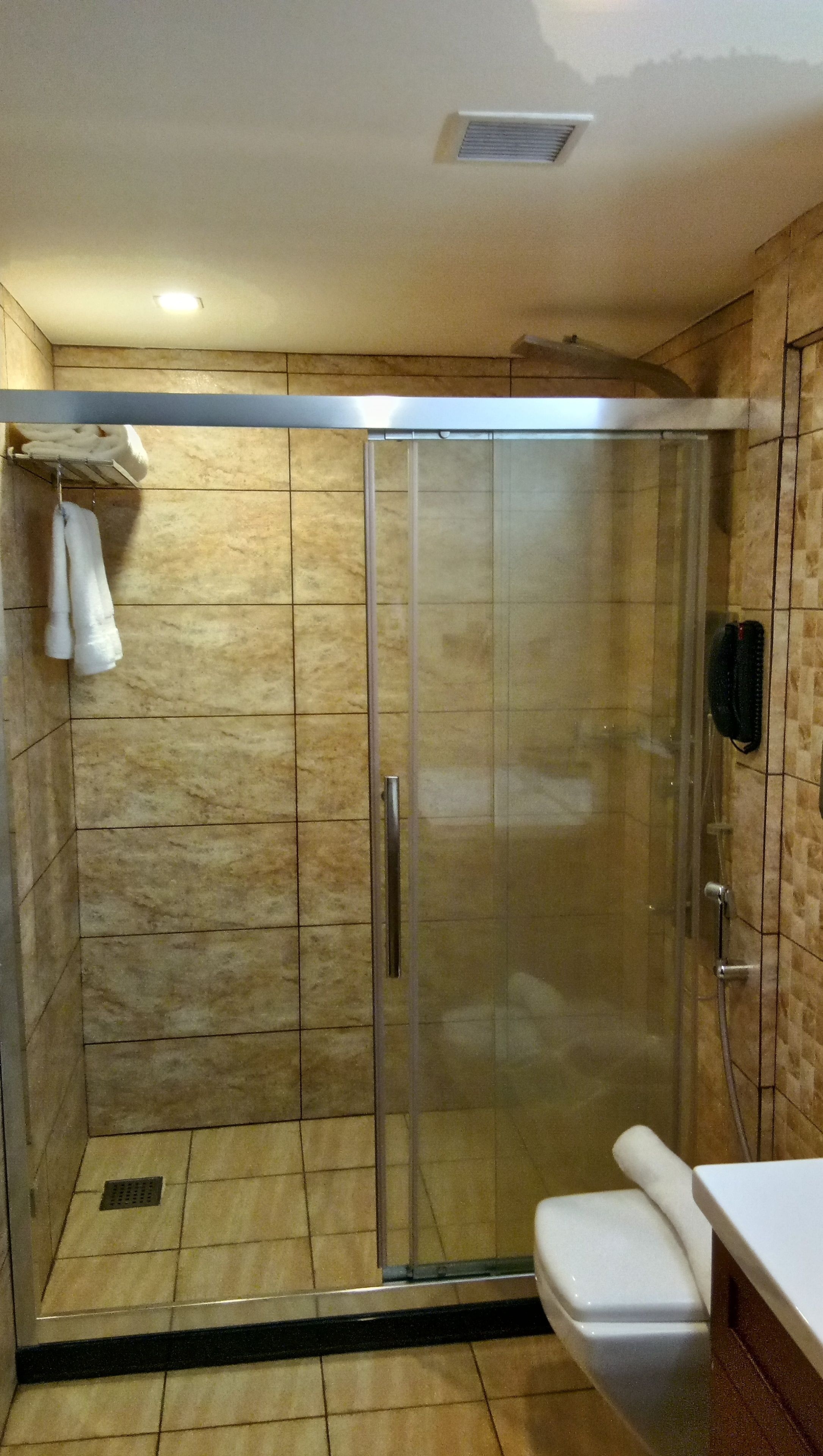 Een douche met glazen wand, een wit toilet en een handdoekhouder.