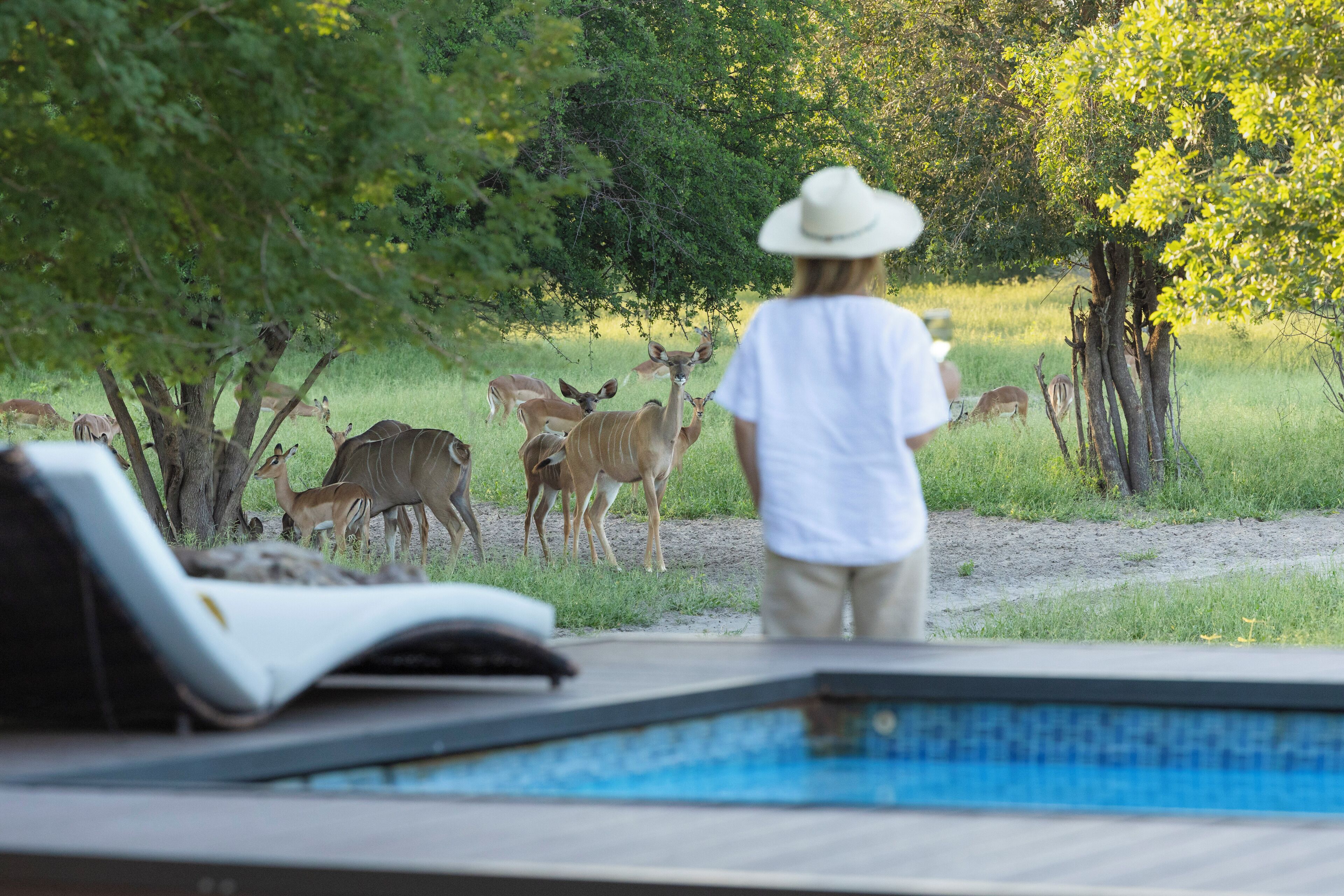 Outdoor pool