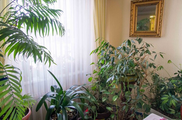 Détail de l’intérieur