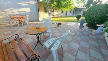 Vista para o jardim