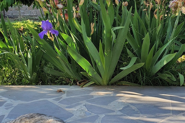 Jardín