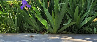 Kesabella Touristic Hotel