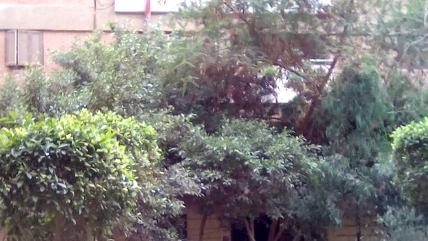 Vista frontal de la propiedad