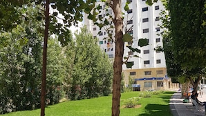 Une zone verdoyante bien entretenue, avec des arbres et un bâtiment en arrière-plan.