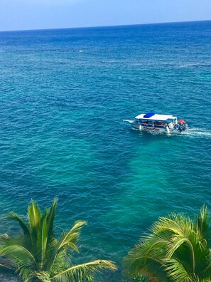 Beach -  Your Caribbean Getaway, 20 minutes from Ocho Rios and major attractions! (Boscobel, St. Mary Parish)