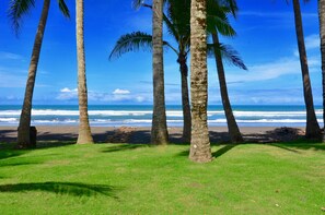 A beach with palm trees and ocean waves.