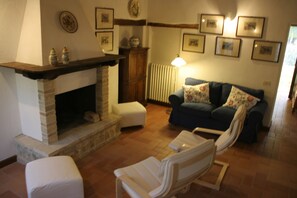 电视、壁炉、DVD 播放器