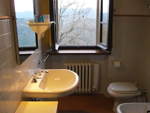 Shower, hair dryer, bidet, towels