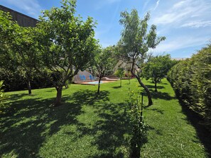 Un espace verdoyant bien entretenu, avec des arbres, une piscine et un bâtiment en arrière-plan.