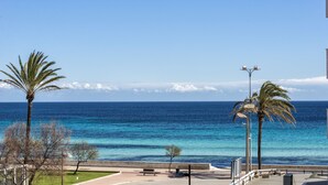 A coastal promenade with benches, palm trees, and a view of the ocean.